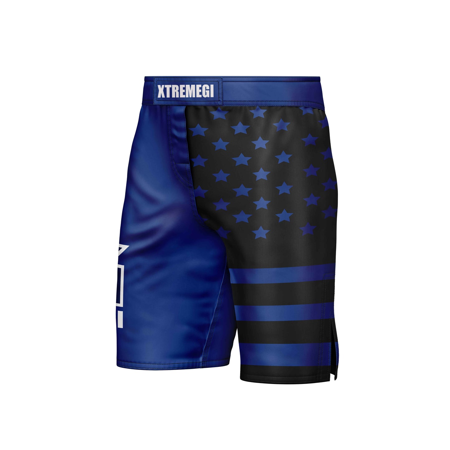 Guile MMA Shorts